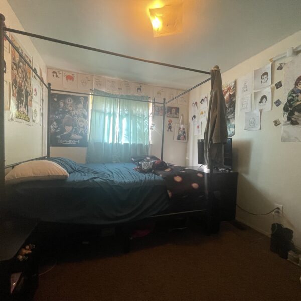 Inside of bedroom with posters and light