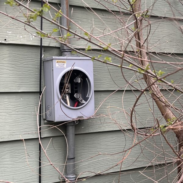 a meter on the house wall behind a tree